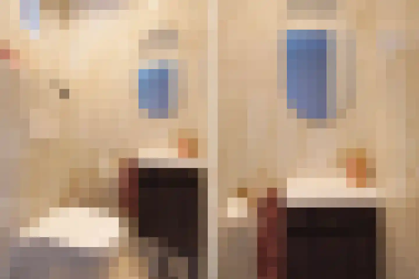 Barentszrede 32 Zoetermeer thumbnail 12