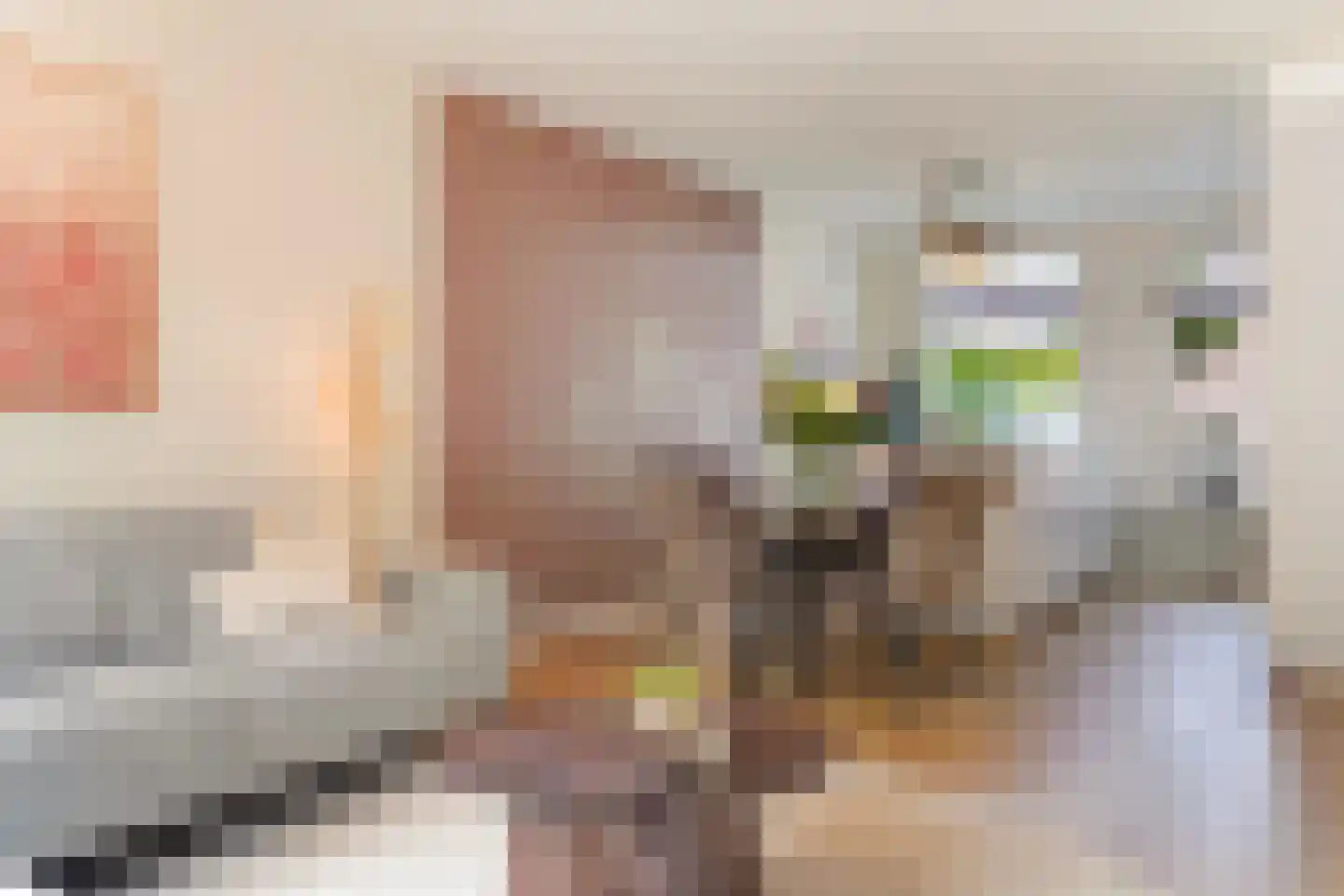 Barentszrede 32 Zoetermeer thumbnail 14