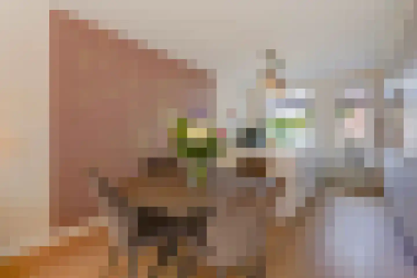Barentszrede 32 Zoetermeer thumbnail 15