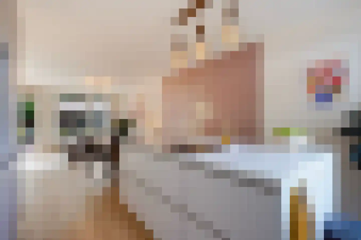 Barentszrede 32 Zoetermeer thumbnail 16