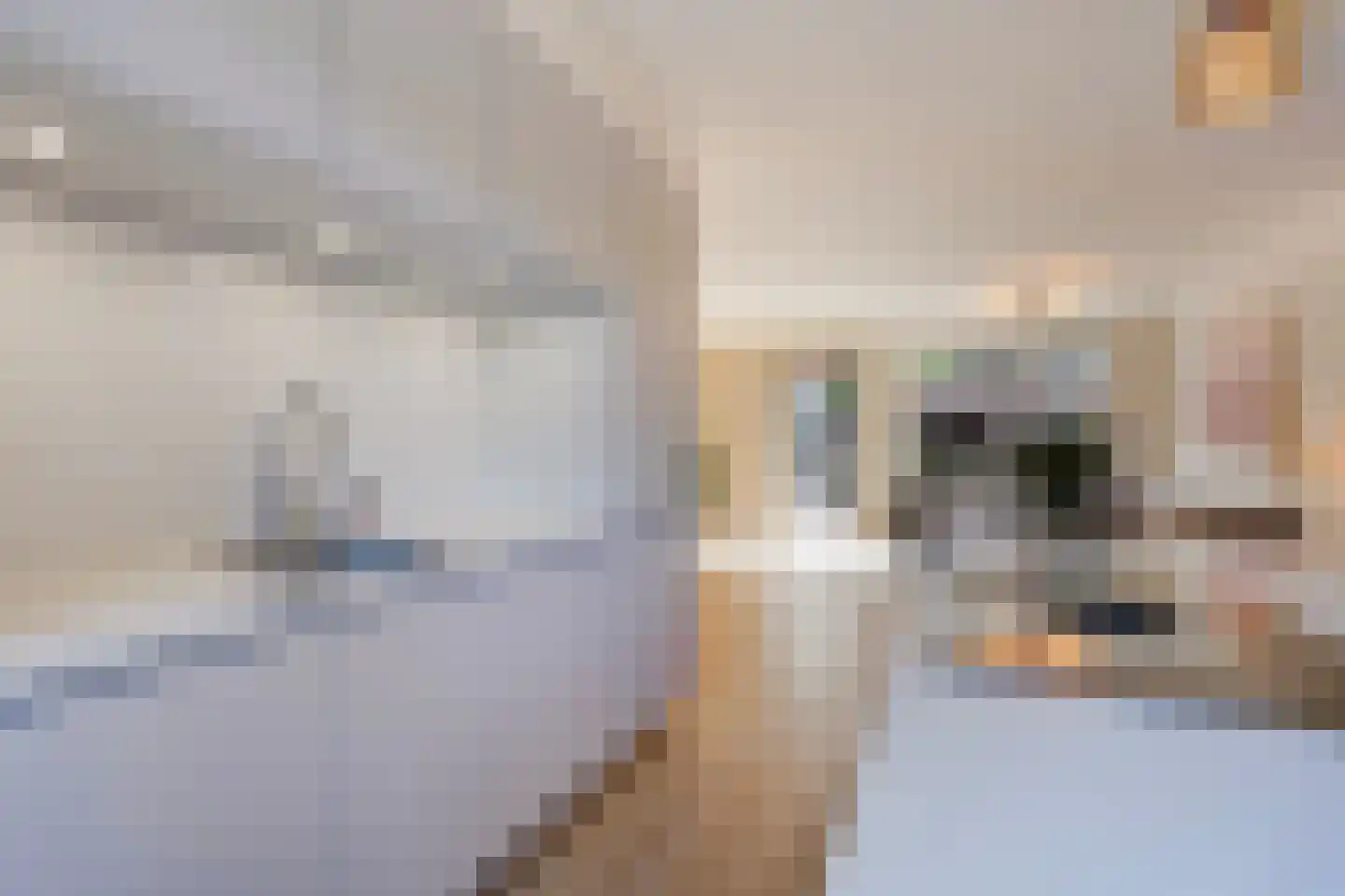 Barentszrede 32 Zoetermeer thumbnail 17