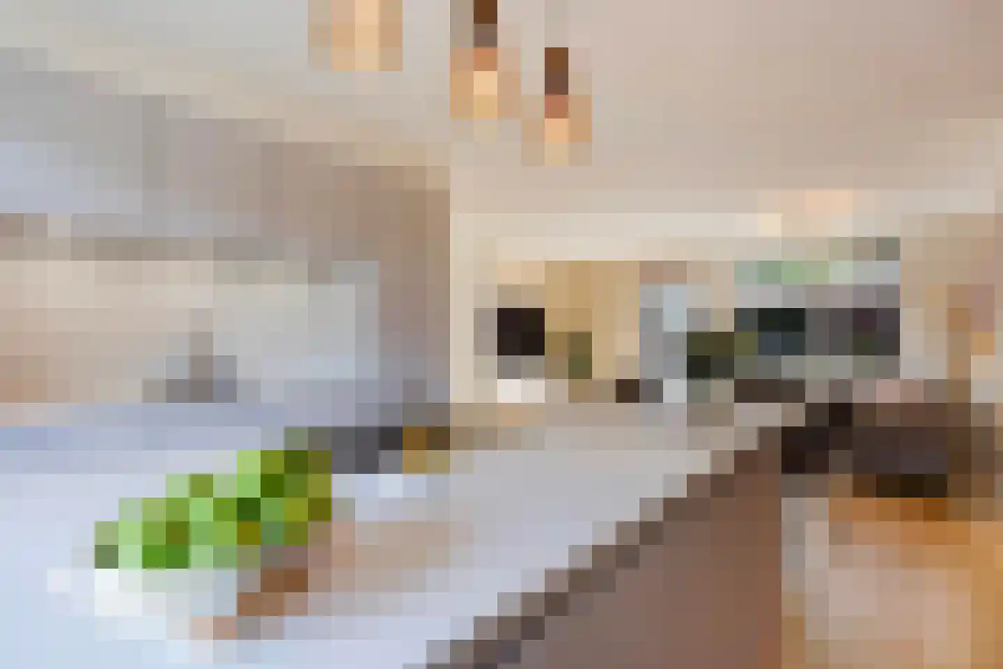 Barentszrede 32 Zoetermeer thumbnail 18