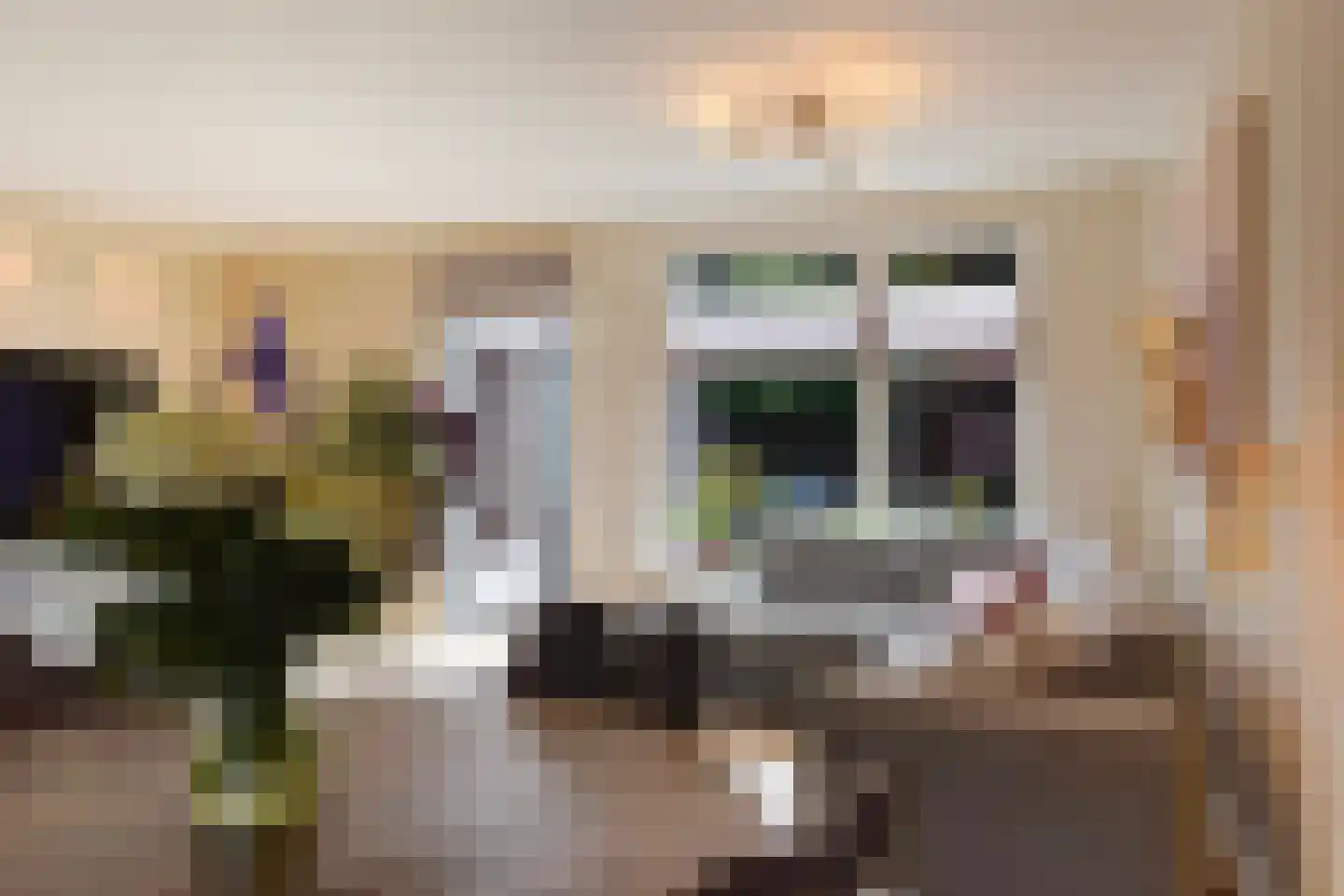 Barentszrede 32 Zoetermeer thumbnail 19
