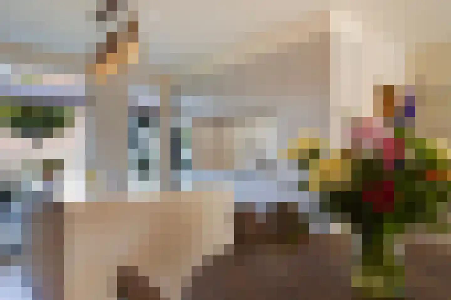 Barentszrede 32 Zoetermeer thumbnail 20