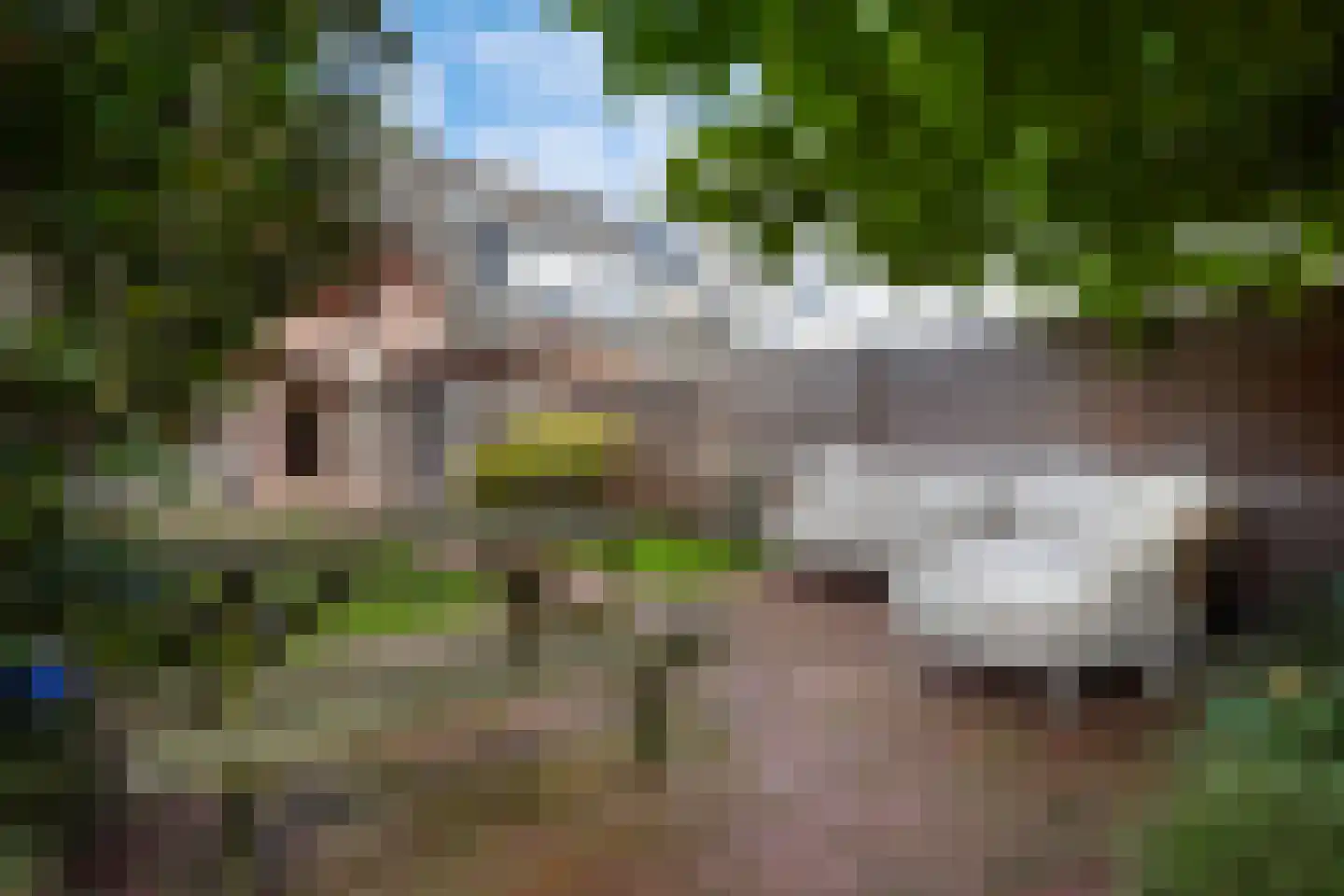 Barentszrede 32 Zoetermeer thumbnail 23