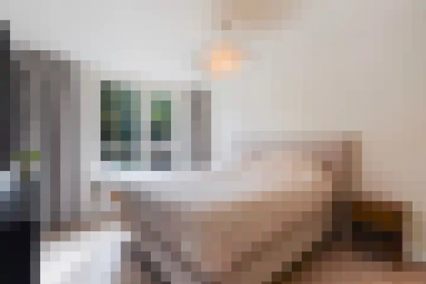 Barentszrede 32 Zoetermeer thumbnail 28