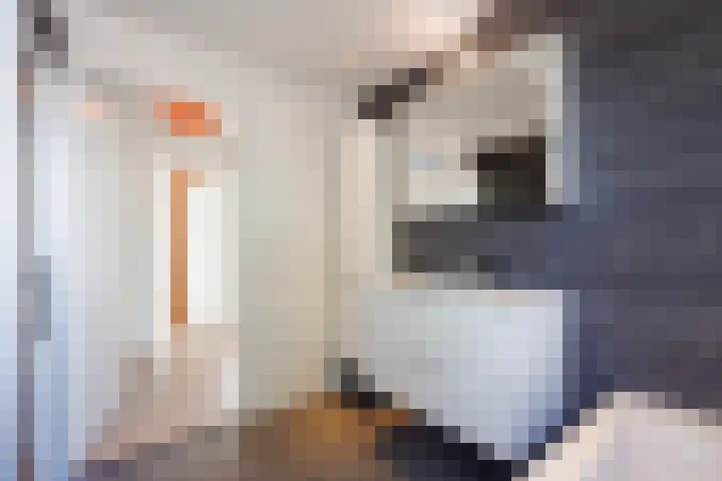 Barentszrede 32 Zoetermeer thumbnail 32