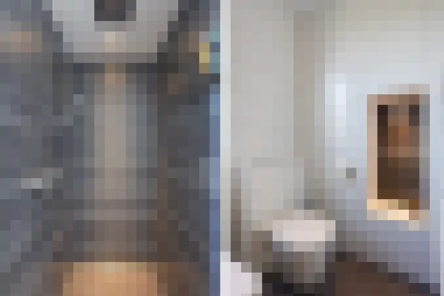 Barentszrede 32 Zoetermeer thumbnail 33