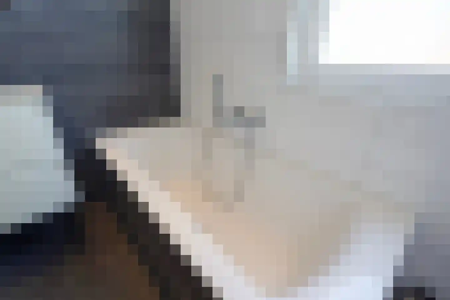 Barentszrede 32 Zoetermeer thumbnail 34