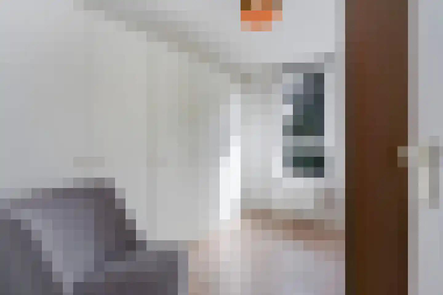 Barentszrede 32 Zoetermeer thumbnail 38