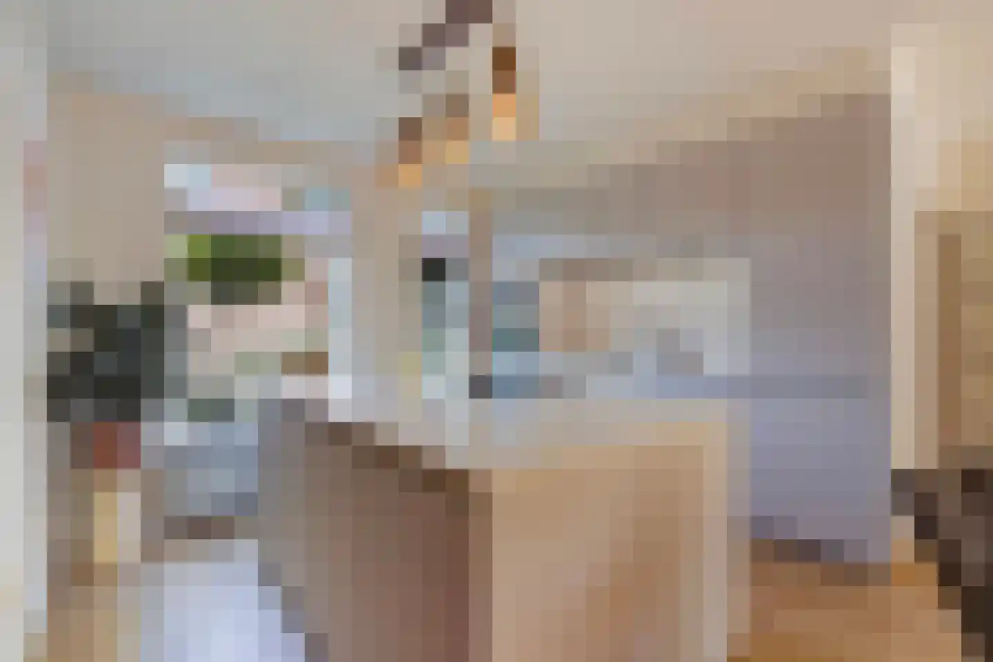 Barentszrede 32 Zoetermeer thumbnail 4