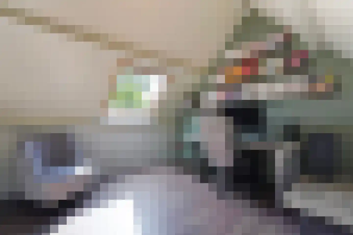 Barentszrede 32 Zoetermeer thumbnail 40