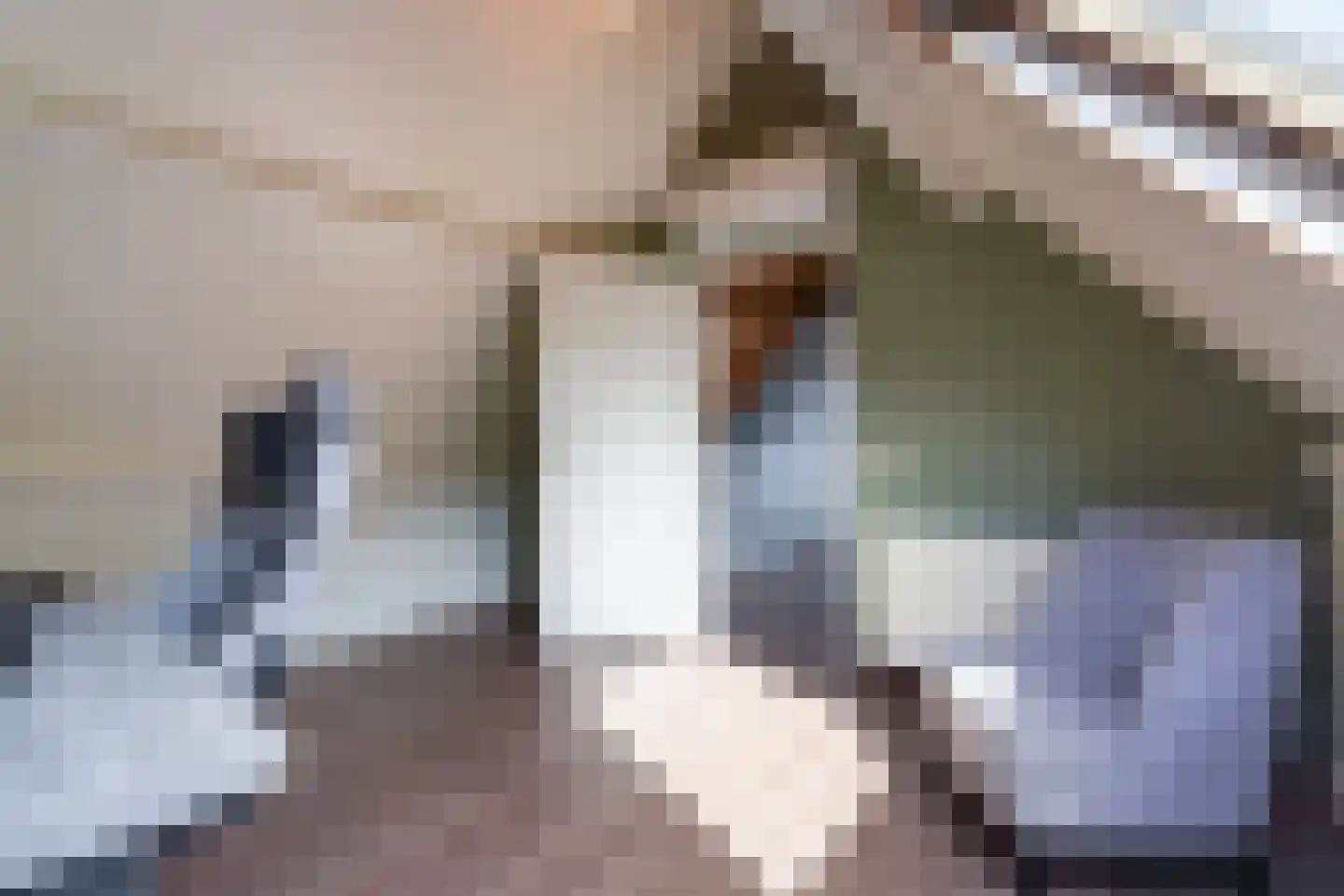 Barentszrede 32 Zoetermeer thumbnail 41