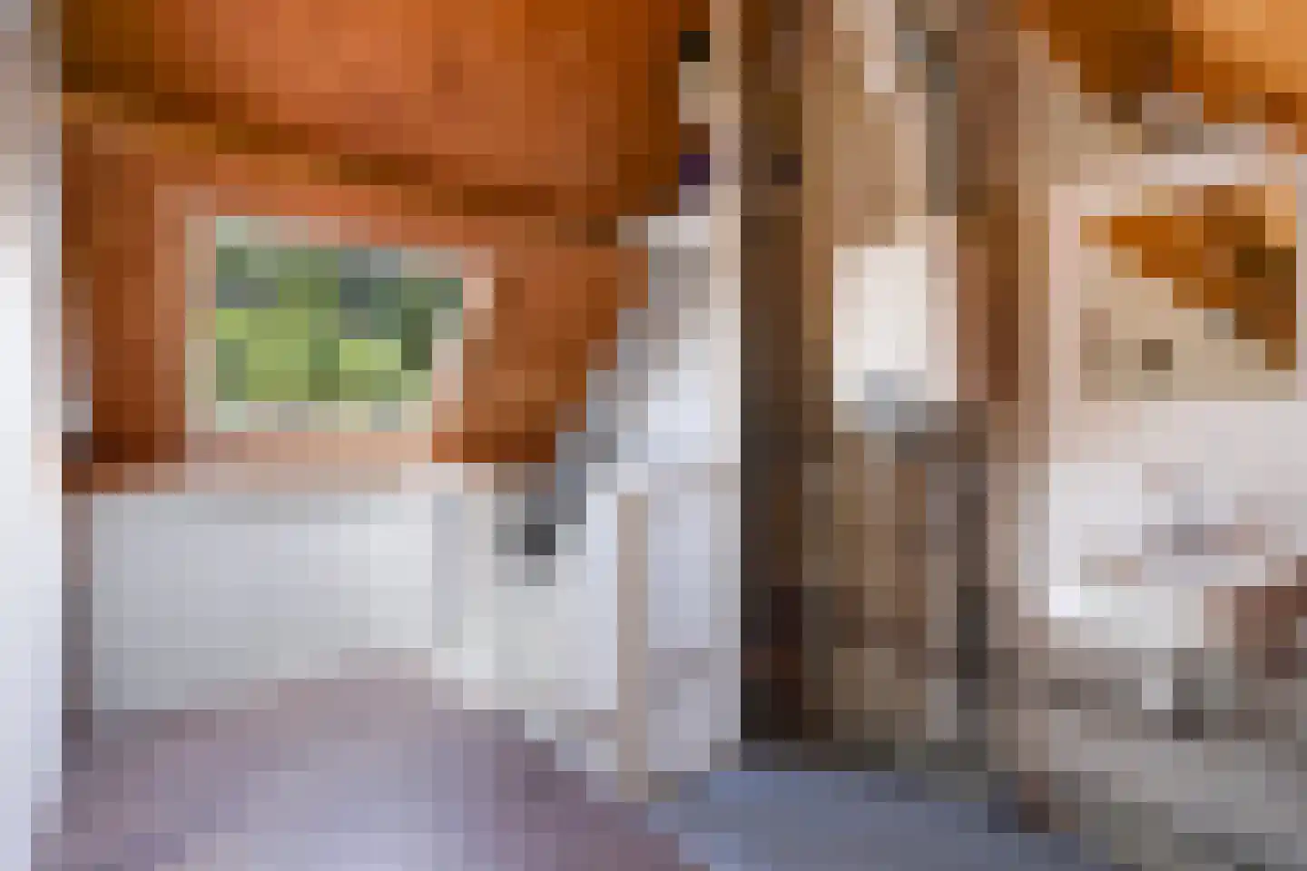 Barentszrede 32 Zoetermeer thumbnail 42