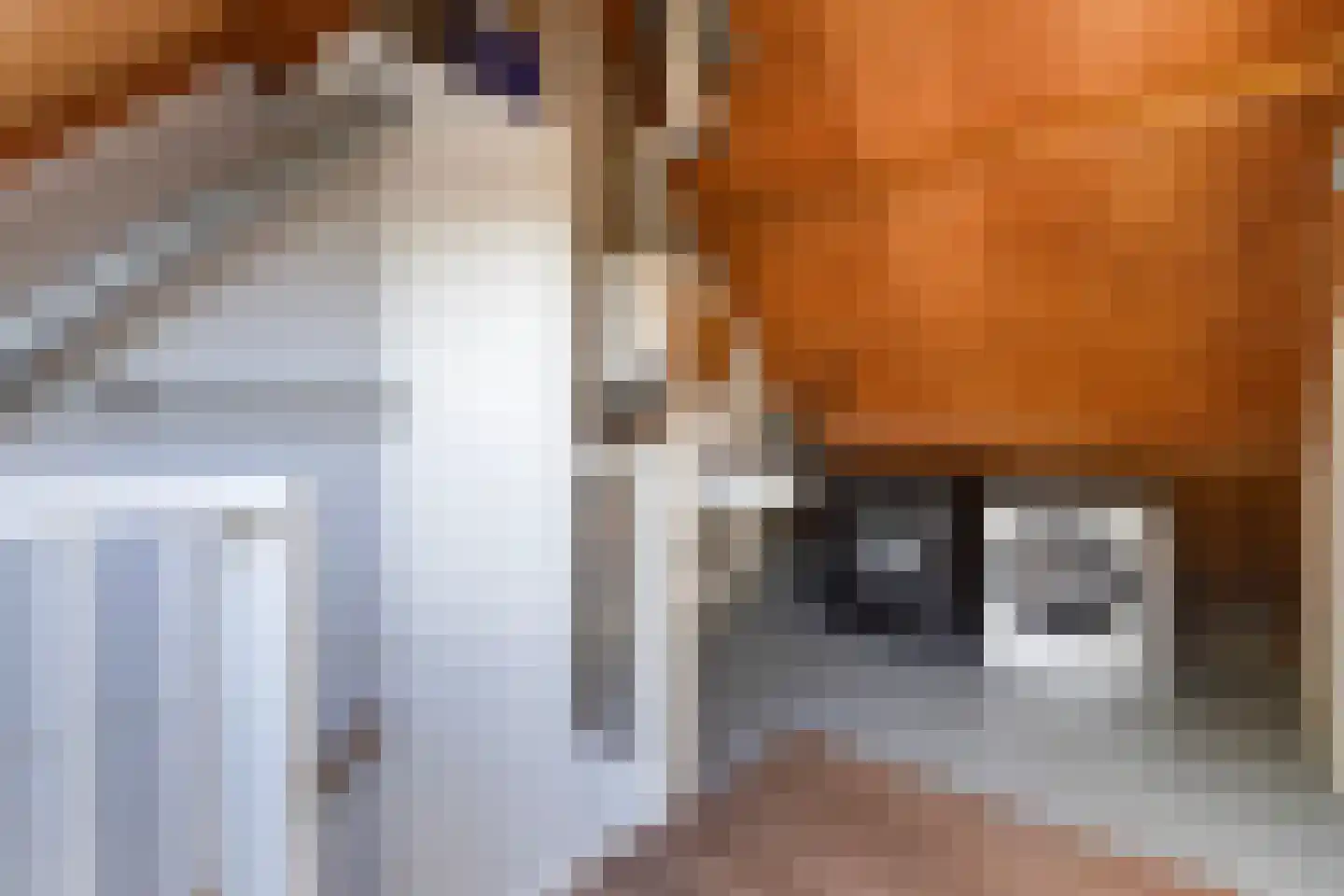 Barentszrede 32 Zoetermeer thumbnail 43