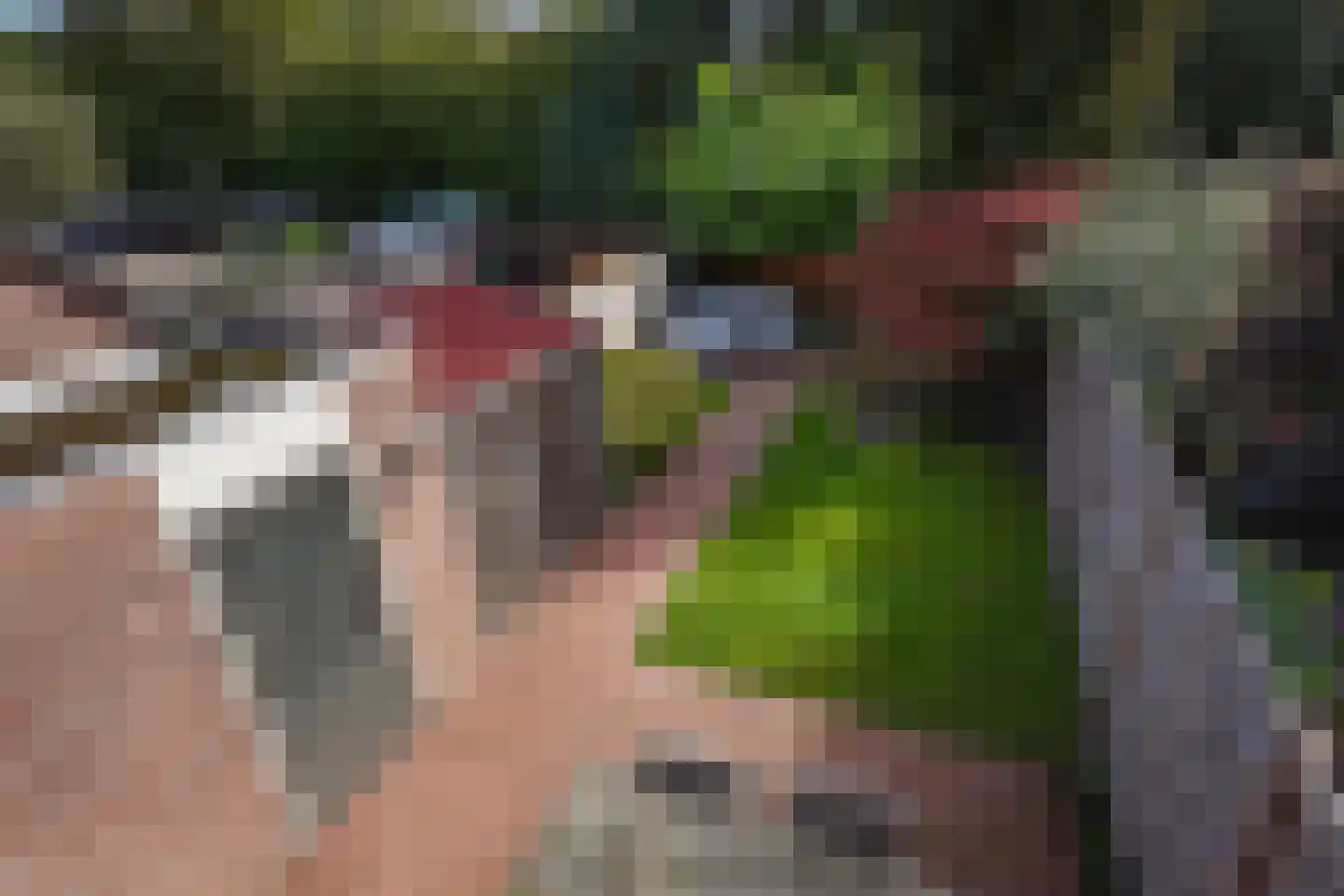 Barentszrede 32 Zoetermeer thumbnail 49