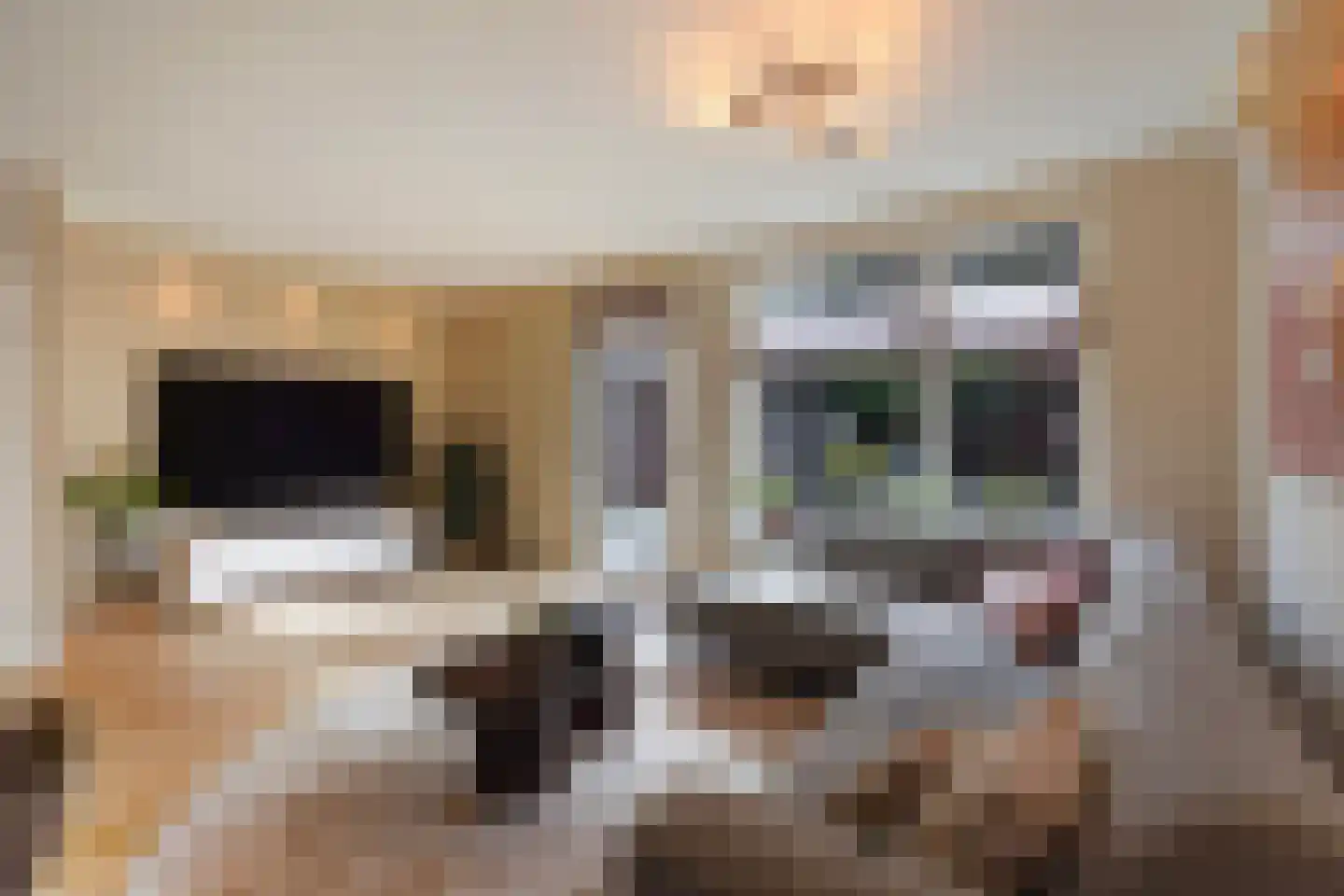Barentszrede 32 Zoetermeer thumbnail 5