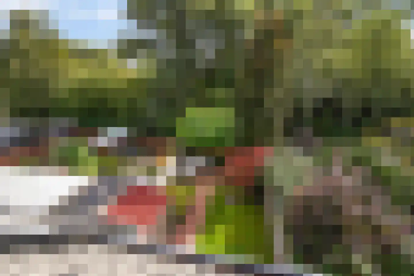 Barentszrede 32 Zoetermeer thumbnail 50