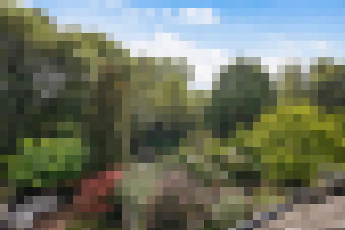 Barentszrede 32 Zoetermeer thumbnail 51