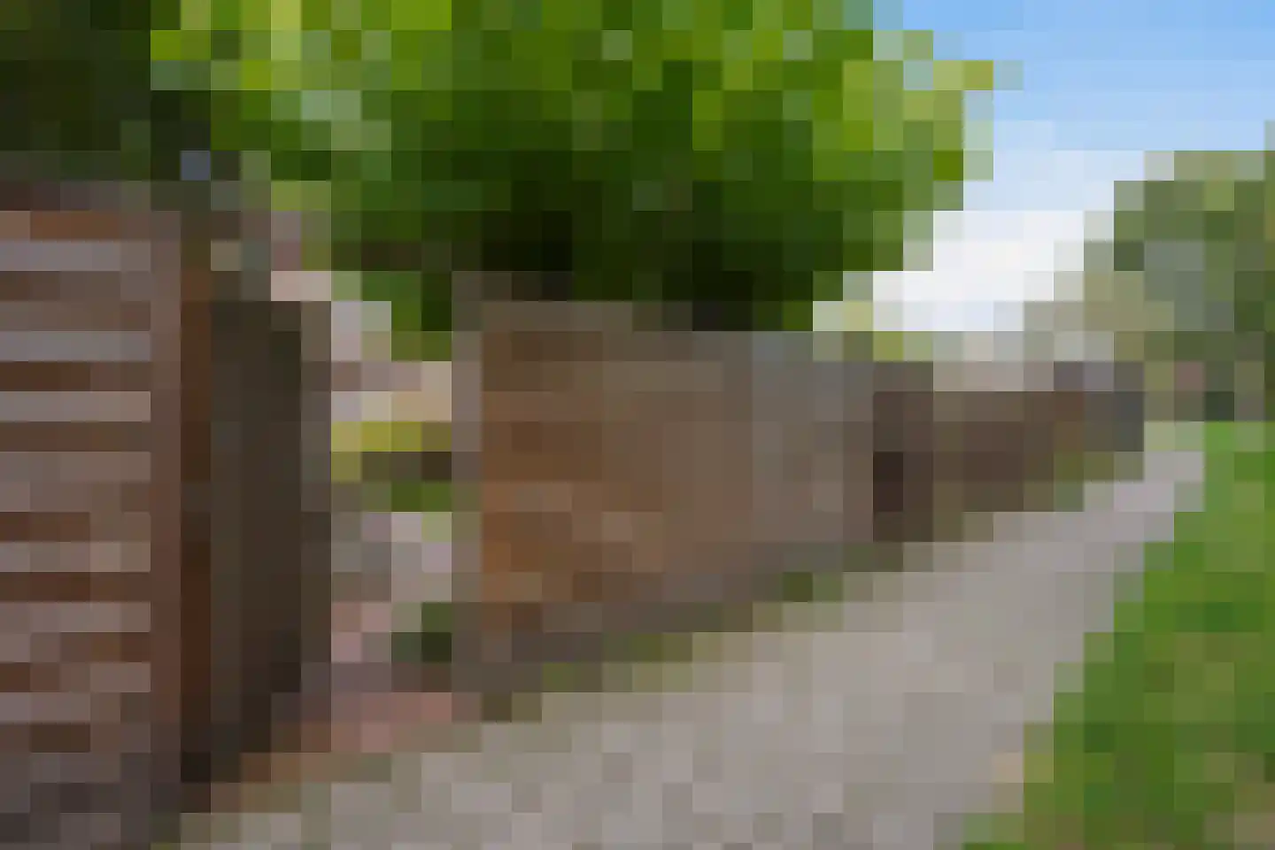 Barentszrede 32 Zoetermeer thumbnail 52