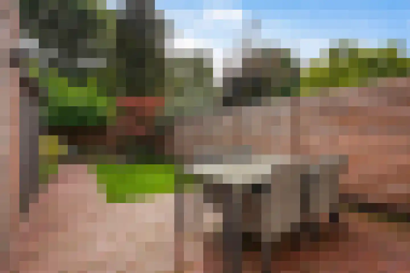 Barentszrede 32 Zoetermeer thumbnail 7