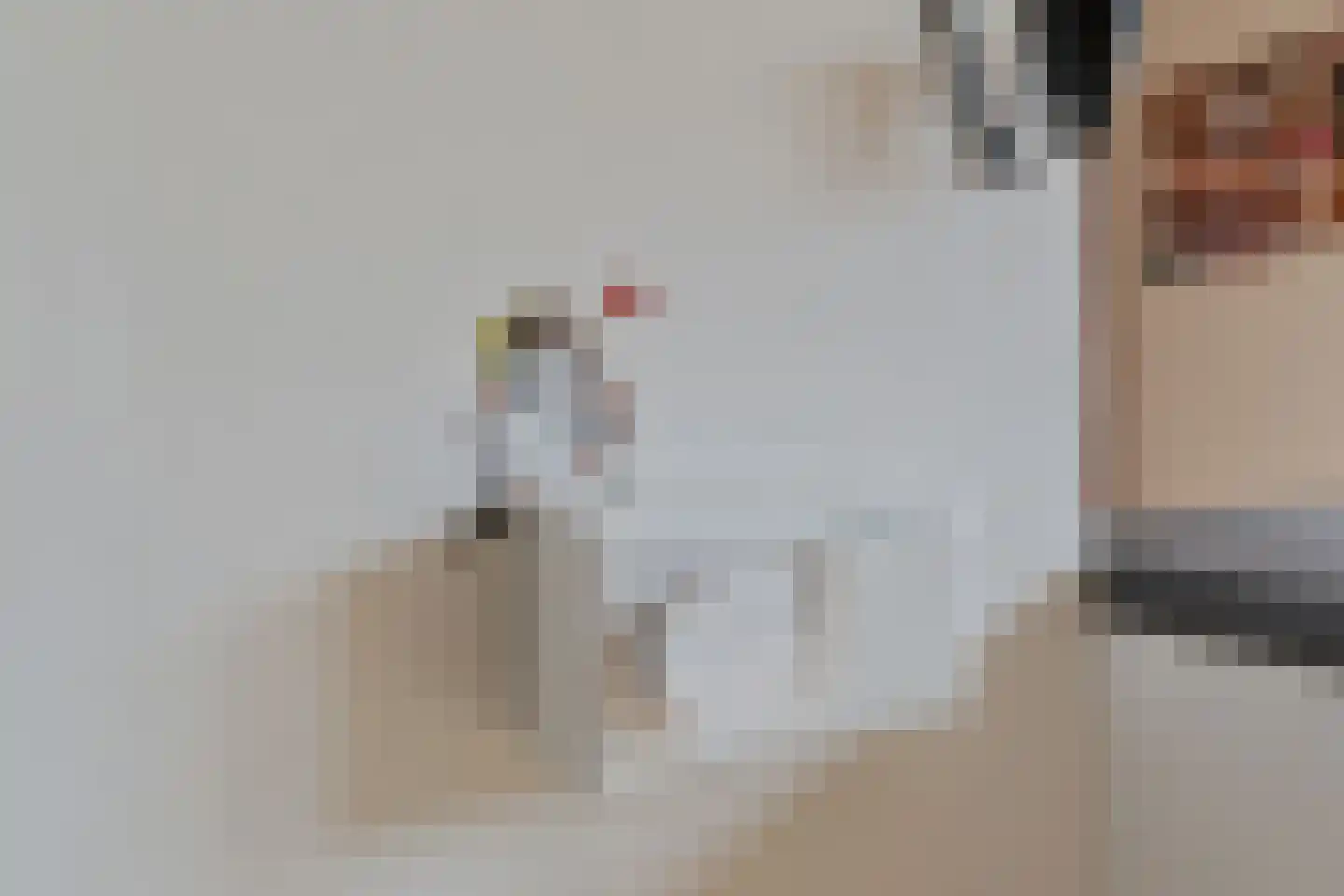 Barentszrede 5 Zoetermeer thumbnail 13