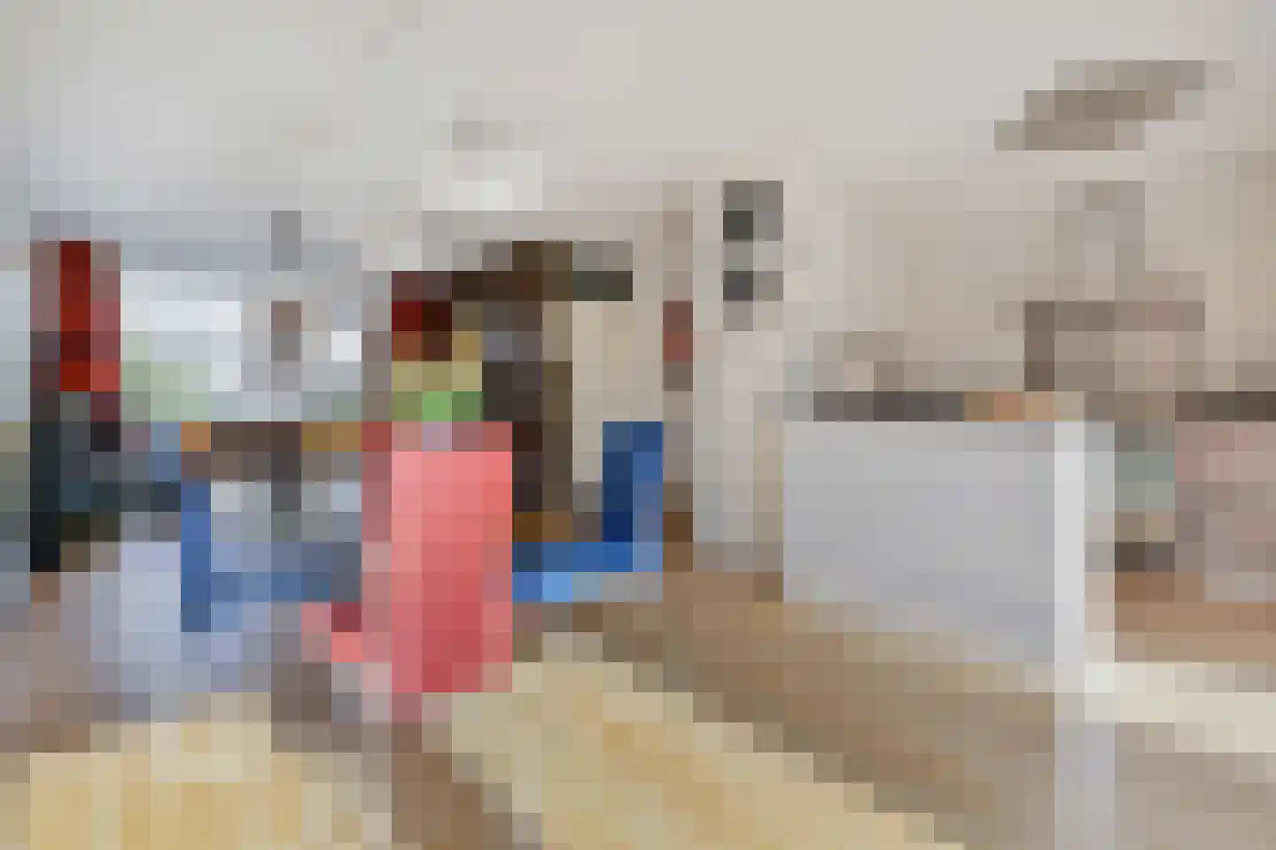 Barentszrede 5 Zoetermeer thumbnail 15