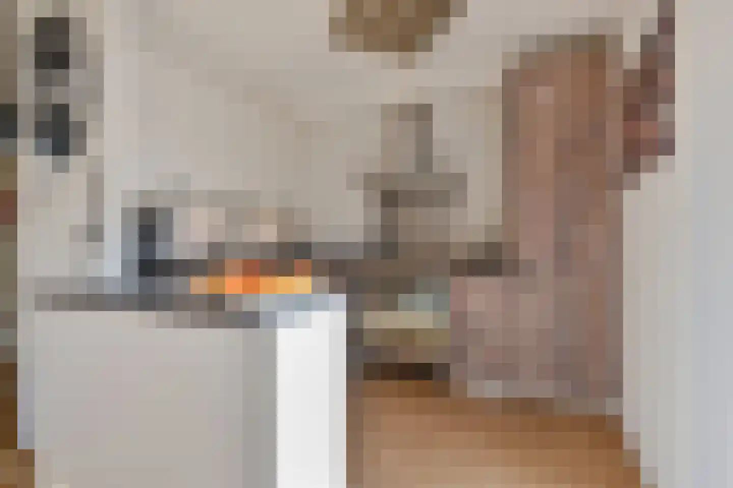 Barentszrede 5 Zoetermeer thumbnail 16