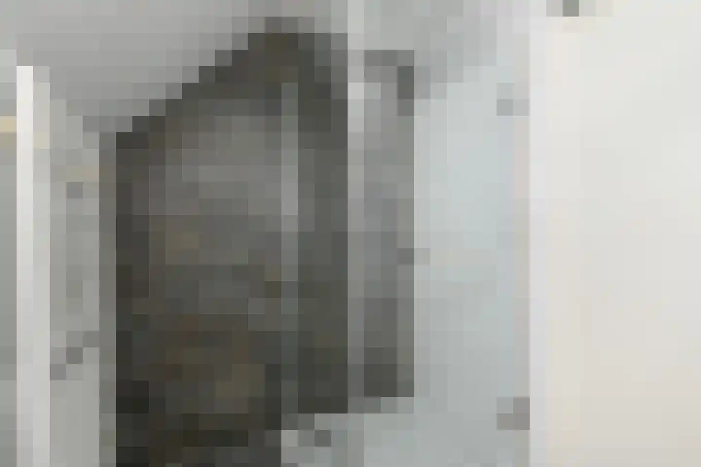 Barentszrede 5 Zoetermeer thumbnail 26