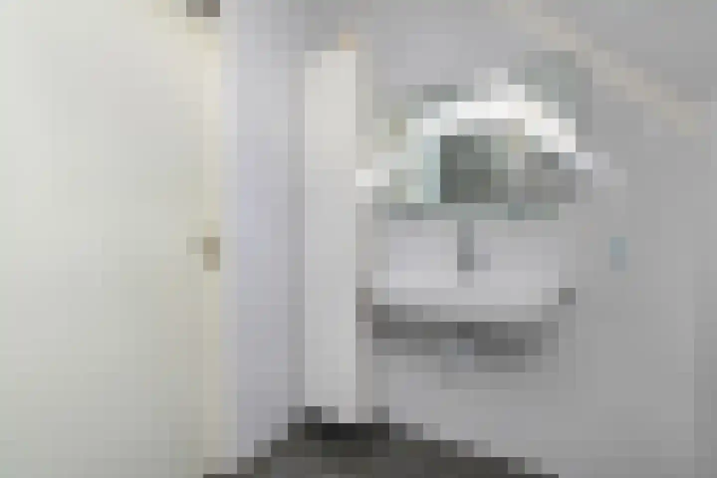 Barentszrede 5 Zoetermeer thumbnail 27