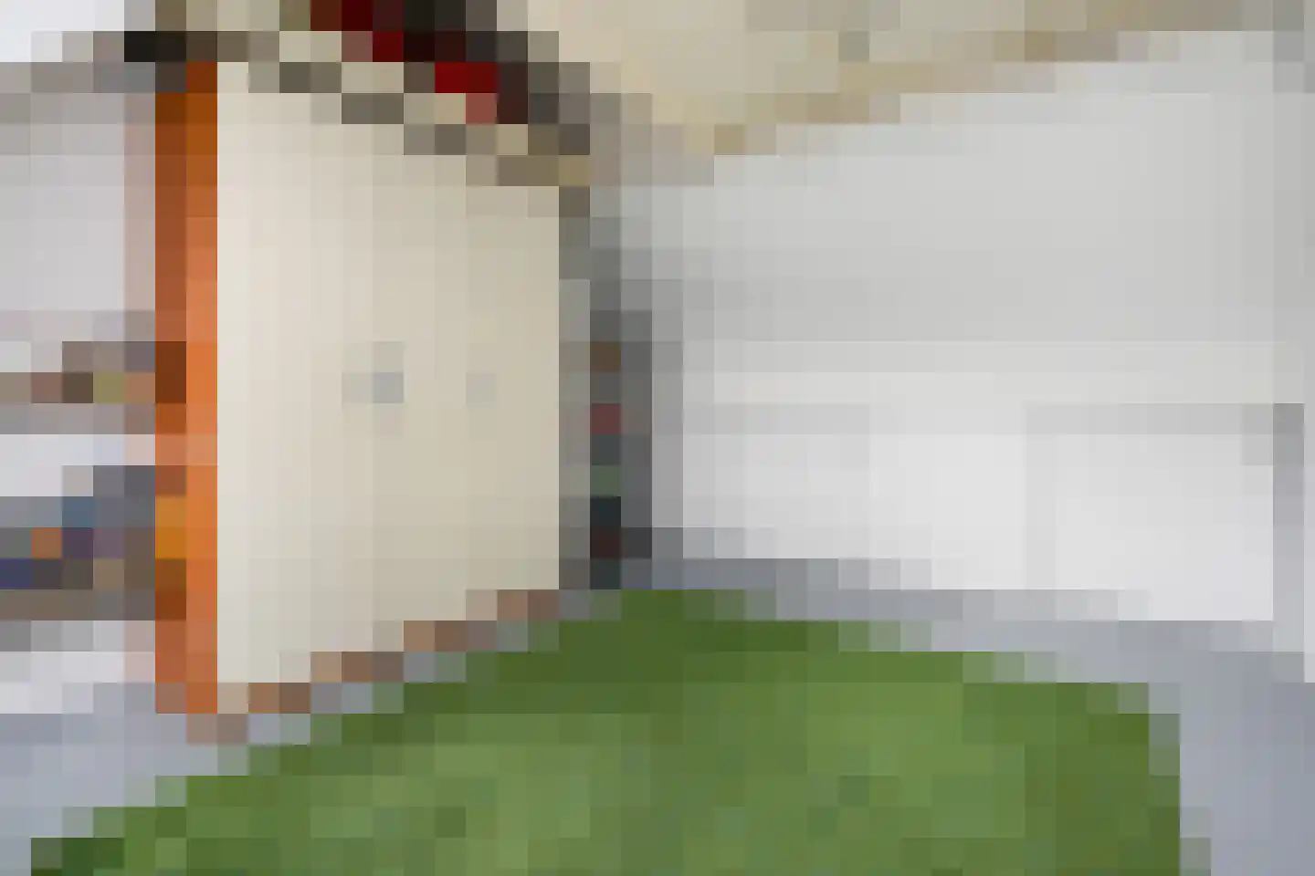 Barentszrede 5 Zoetermeer thumbnail 32