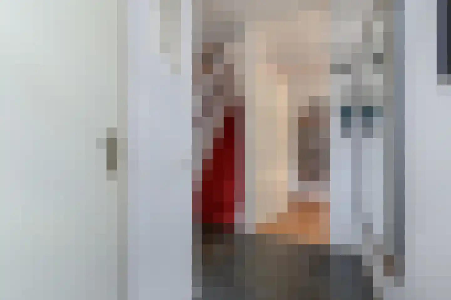 Barentszrede 5 Zoetermeer thumbnail 6