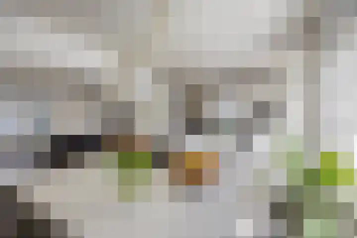 Barentszstraat 10 Drunen thumbnail 11