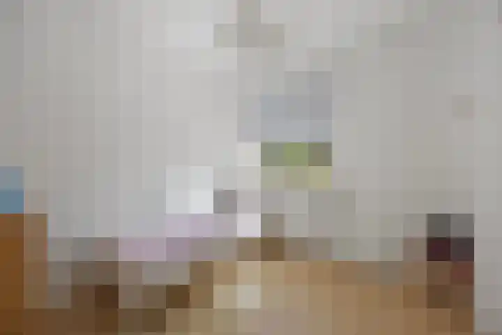 Barentszstraat 10 Drunen thumbnail 17