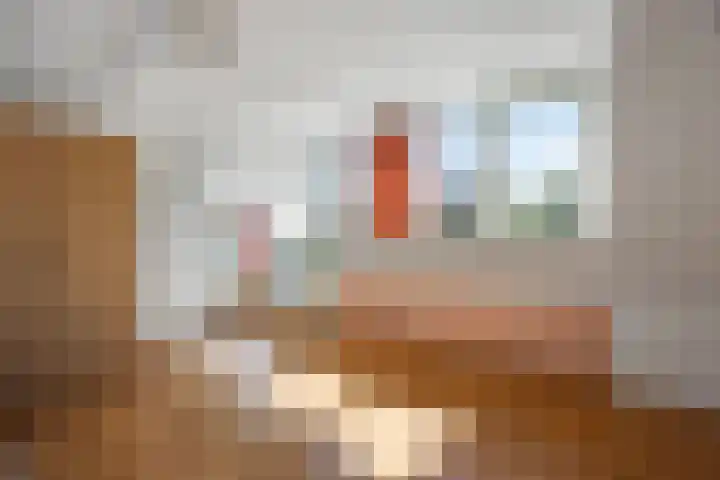 Barentszstraat 10 Drunen thumbnail 24