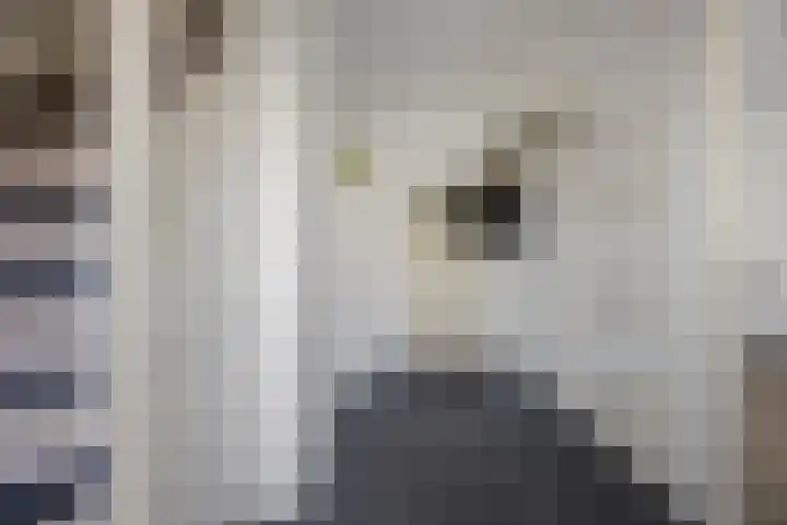 Barentszstraat 10 Drunen thumbnail 5