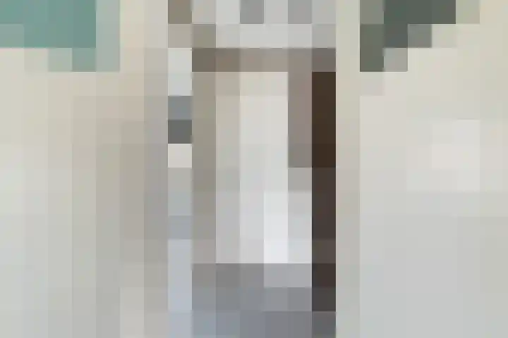 Barentszstraat 11 Alphen aan den Rijn thumbnail 30