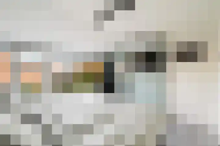 Barentszstraat 11 Alphen aan den Rijn thumbnail 32