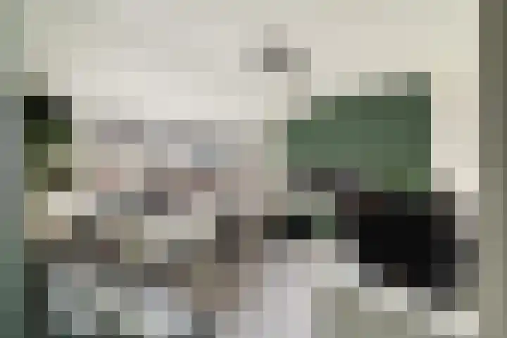 Barentszstraat 11 Alphen aan den Rijn thumbnail 34