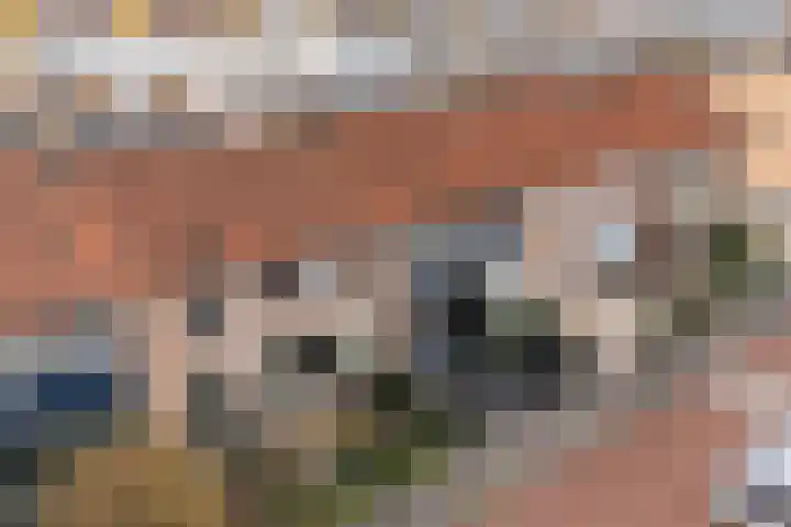 Barentszstraat 11 Alphen aan den Rijn thumbnail 4