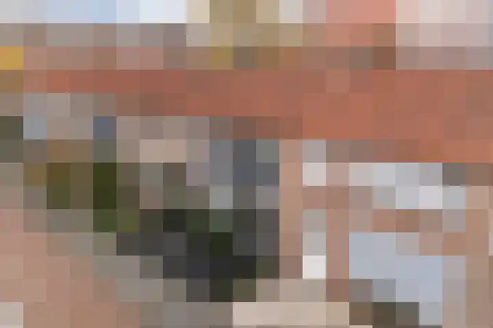 Barentszstraat 11 Alphen aan den Rijn thumbnail 5