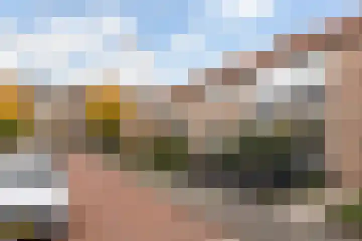 Barentszstraat 11 Alphen aan den Rijn thumbnail 7
