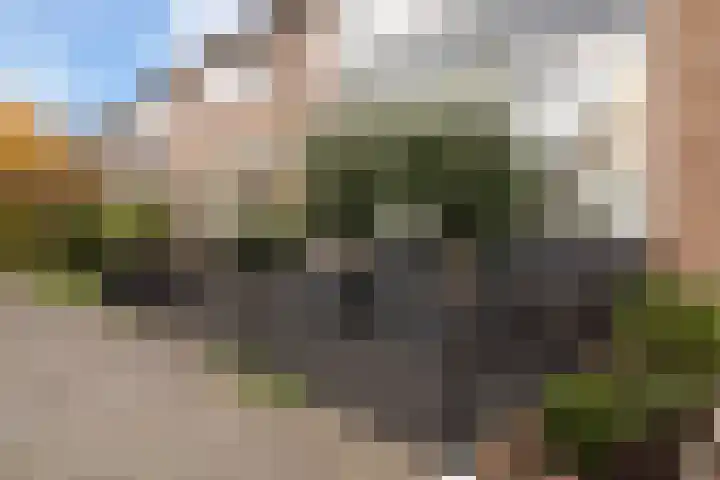 Barentszstraat 11 Alphen aan den Rijn thumbnail 8