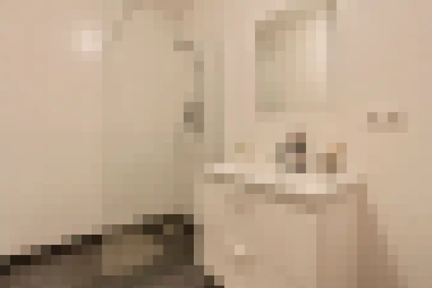 Barentszstraat 111 Amsterdam thumbnail 22