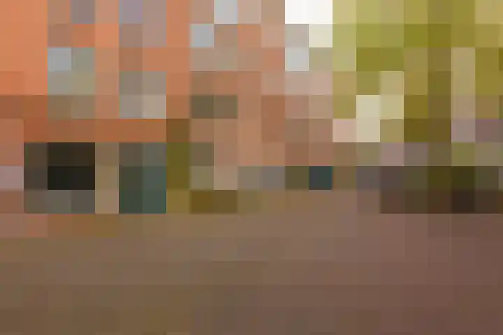 Barentszstraat 128 Amsterdam thumbnail 20