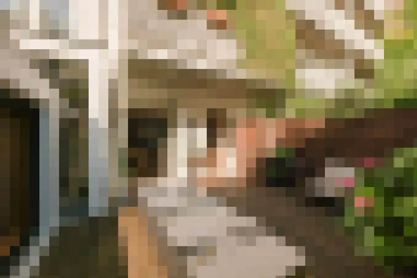 Barentszstraat 155 Amsterdam thumbnail 13