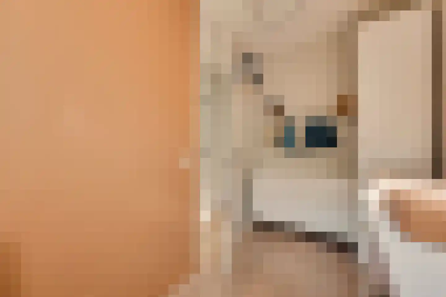 Barentszstraat 155 Amsterdam thumbnail 22
