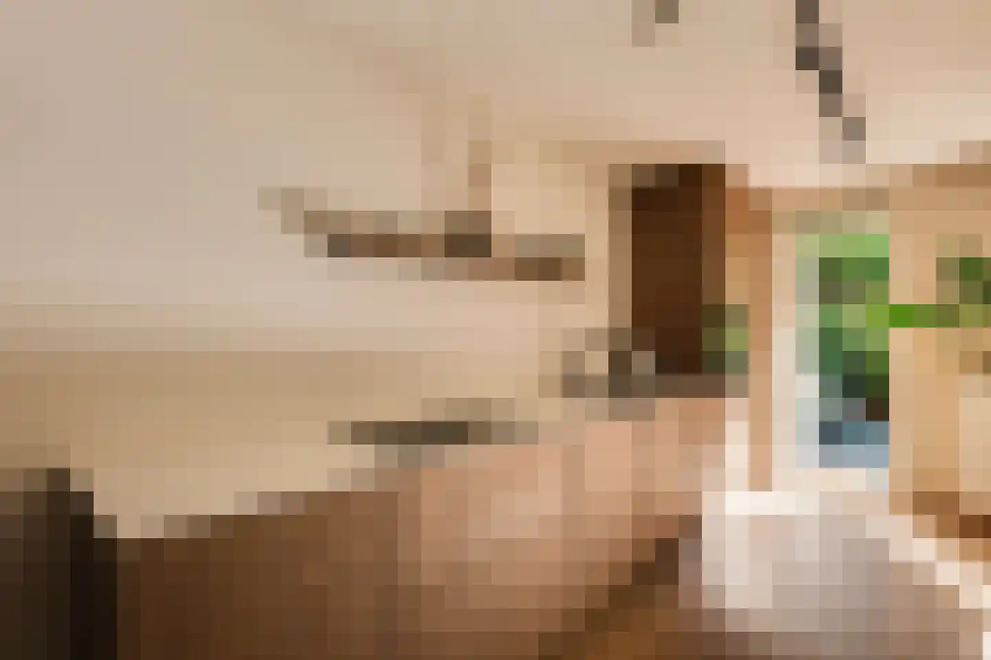 Barentszstraat 155 Amsterdam thumbnail 7
