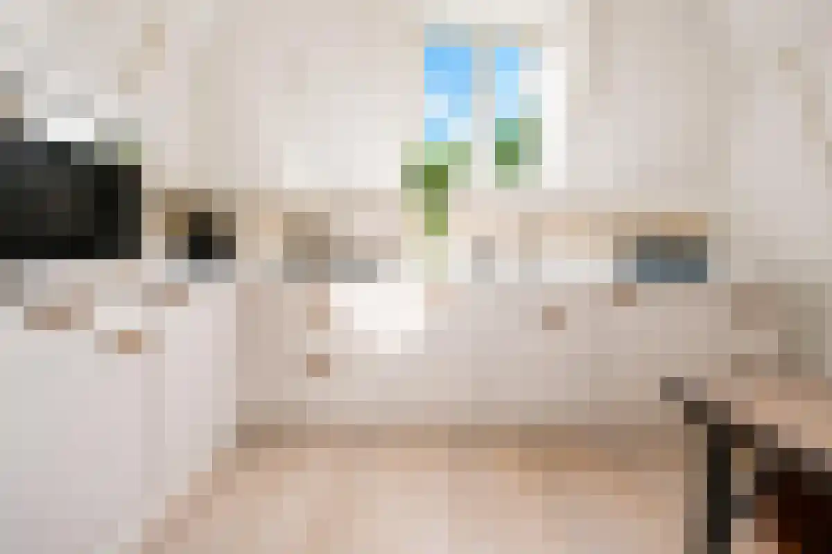 Barentszstraat 179 Amsterdam thumbnail 5