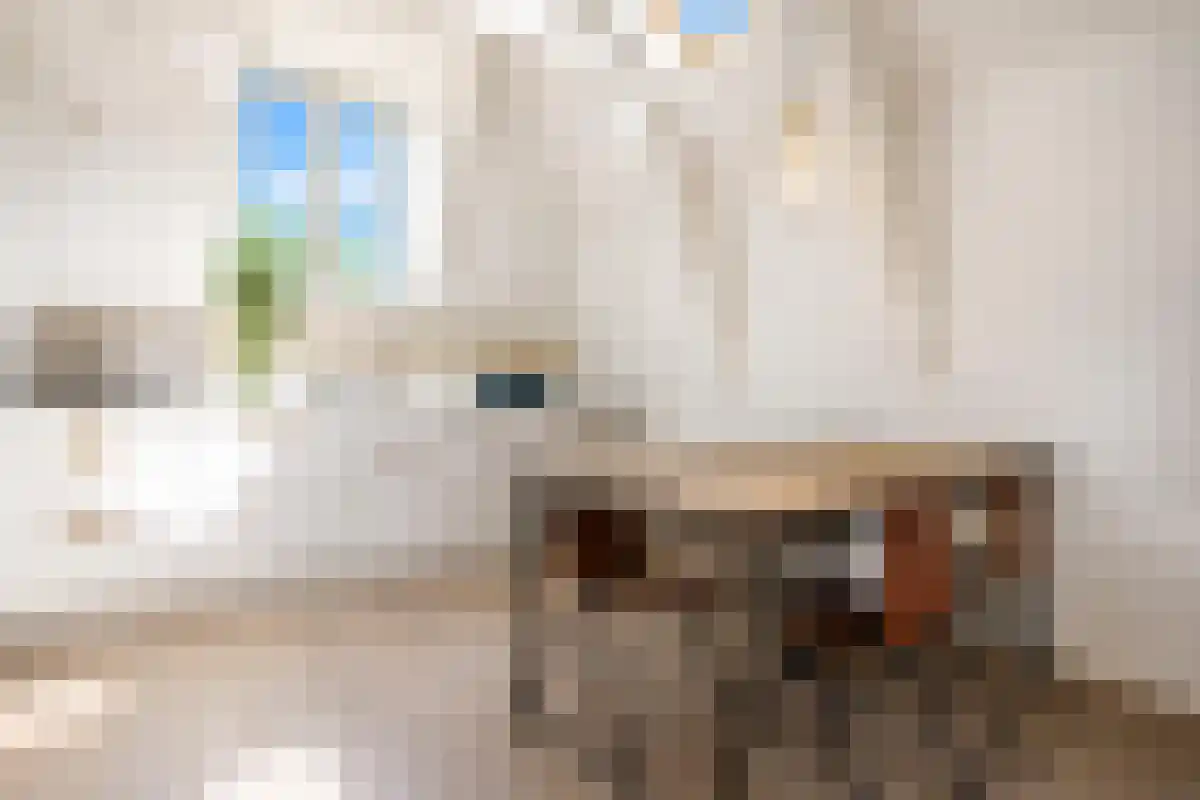 Barentszstraat 179 Amsterdam thumbnail 6